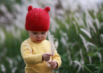 Perkembangan Anak Usia 1 Tahun 11 Bulan