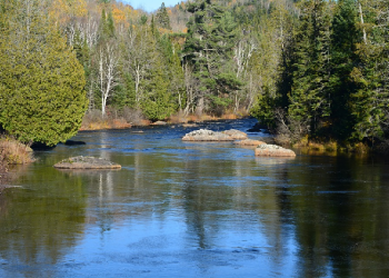 Menenangkan Jiwa Pada Pandemi yang Tak Jua Bertepi