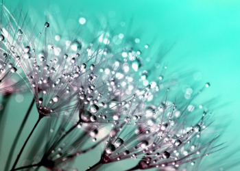 Cara Rasulullah Mendidik Para Sahabat Menjadi Generasi Terbaik