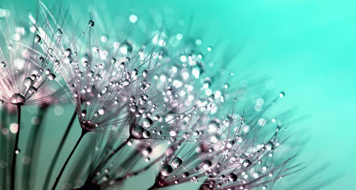 Cara Rasulullah Mendidik Para Sahabat Menjadi Generasi Terbaik