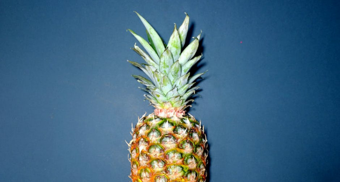 Dua Produk Herbal Rekomendasi dr Zaidul Akbar Cocok Dikonsumsi pada Masa Pandemi