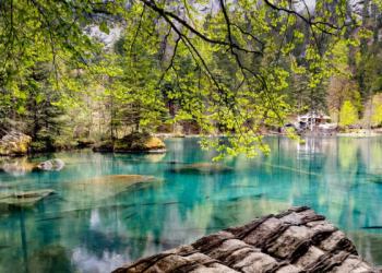 Kisah Abu Qudamah Menceritakan Pengalaman Jihad paling Mengagumkan (2)