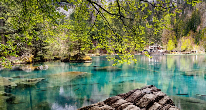 Kisah Abu Qudamah Menceritakan Pengalaman Jihad paling Mengagumkan (2)