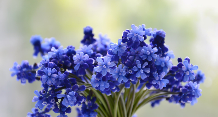 Kisah Umar bin Khattab dan Pemuda Lusuh yang Membunuh Seseorang (2)