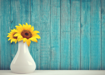 Abdurrahman bin Muawiyah, Pemuda yang Menyatukan Kekuatan Islam di Andalusia