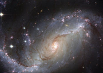 Tafsir Surat Yasin Ayat 50, Tidak Mampu Memberikan Wasiat