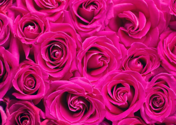 Kisah Kaum Nabi Luth yang Banyak Berbuat Maksiat (1)