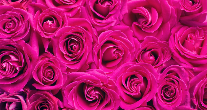 Kisah Kaum Nabi Luth yang Banyak Berbuat Maksiat (1)