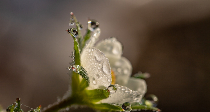 Kisah Kaum Nabi Luth yang Banyak Berbuat Maksiat (2)