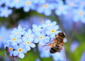 Kisah Terbunuhnya Habil, Anak Nabi Adam (2)