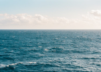 Kisah Imam Bukhari Membuang 1000 Dinar ke Laut