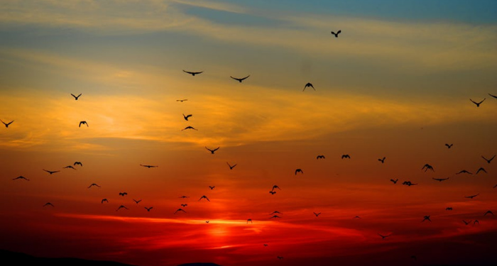 Tafsir Surat Yasin Ayat 52, Terkejutnya Manusia Ketika Dibangkitkan kembali