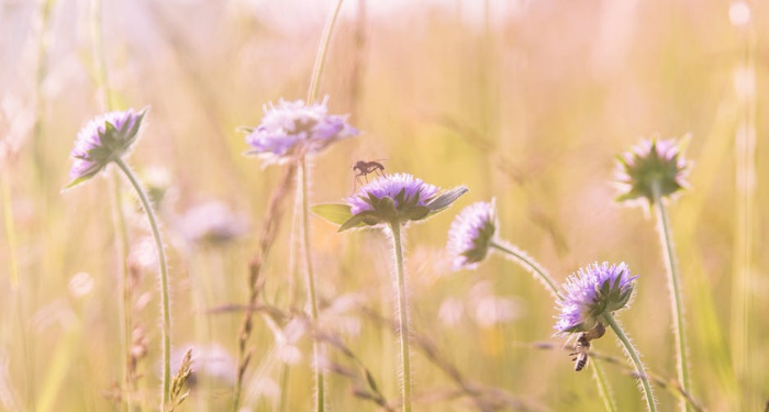 Penjelasan Menjamu Tamu yang Datang Takziah (1)