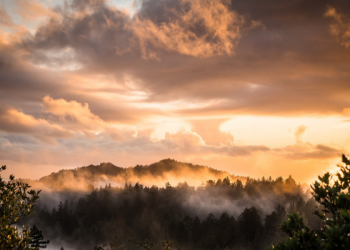 Kisah Mimpi Pemuda yang Ikut Berjihad Bersama Abu Qudamah (3)