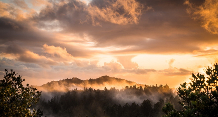 Kisah Mimpi Pemuda yang Ikut Berjihad Bersama Abu Qudamah (3)