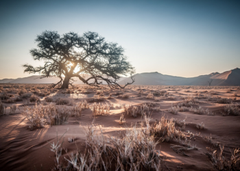 Kisah Akhir Pengalaman Jihad paling Mengagumkan Abu Qudamah (4)