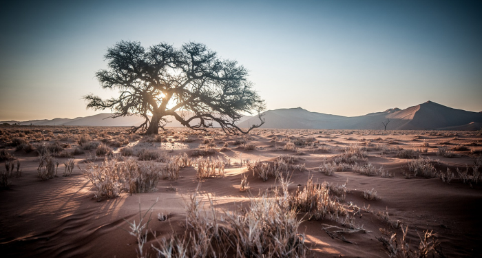 Kisah Akhir Pengalaman Jihad paling Mengagumkan Abu Qudamah (4)