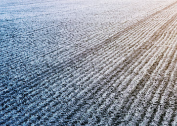 Surat Yasin Ayat 59, Barisan Orang Bertakwa dan Kafir