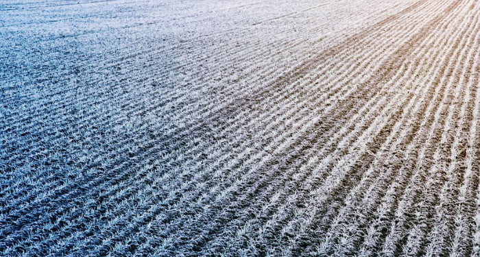 Surat Yasin Ayat 59, Barisan Orang Bertakwa dan Kafir