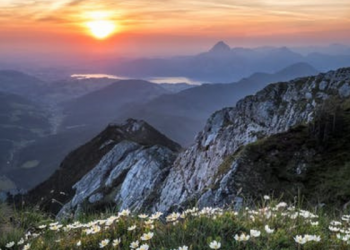 Belajar dari Runtuhnya Negara Umayyah