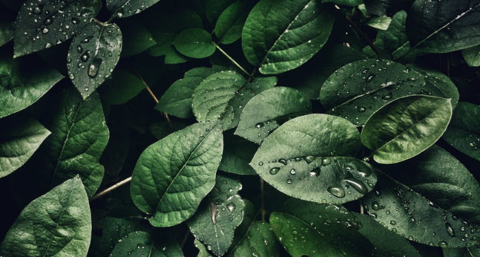 Kisah Nabi Musa Sakit Perut dan Ditegur Allah