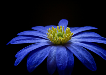 Ciri-ciri Riya yang Harus Diwaspadai