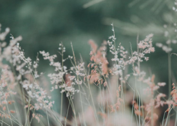 Kisah Laki-laki Fasik yang Diampuni oleh Allah