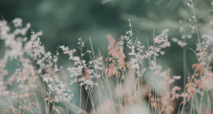 Kisah Laki-laki Fasik yang Diampuni oleh Allah