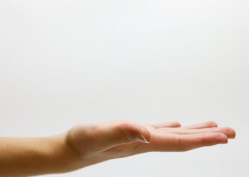 Tafsir Surat Yasin Ayat 65, Anggota Tubuh yang Bersaksi