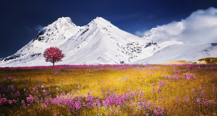 Kisah Seorang Wanita yang Tetap Tabah Setelah Mengalami Berbagai Musibah