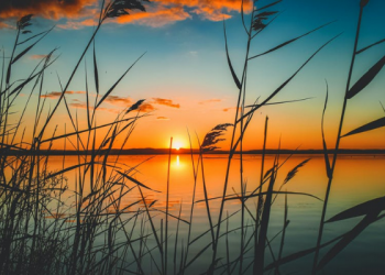 Tafsir Surat Yasin Ayat 67, Allah Bisa Mengubah Wujud Manusia