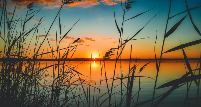 Tafsir Surat Yasin Ayat 67, Allah Bisa Mengubah Wujud Manusia