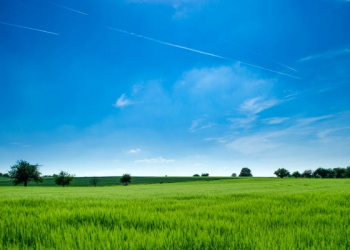 Al-Ghazali, Seorang Hujjatul Islam