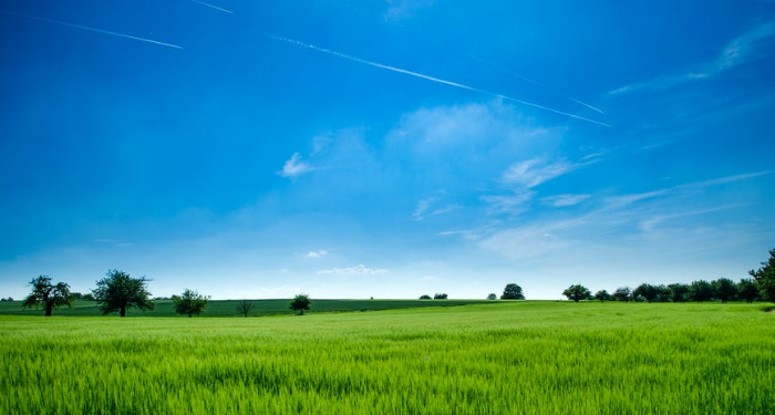 Al-Ghazali, Seorang Hujjatul Islam