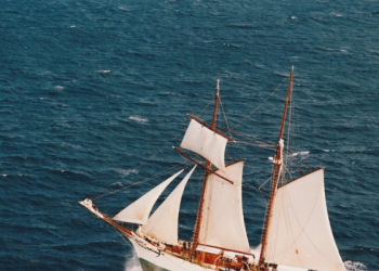 Kisah Seorang Mujahid Asal Italia