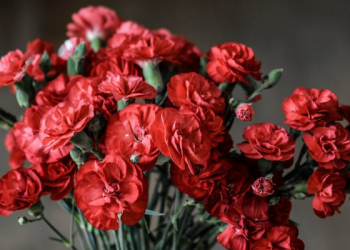 Sultan Murad IV, Pemimpin yang Berani Turun Langsung untuk Berjihad