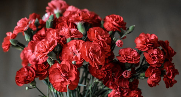 Sultan Murad IV, Pemimpin yang Berani Turun Langsung untuk Berjihad