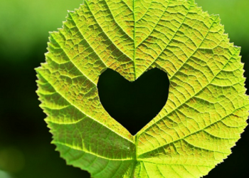 Empat Unsur Adaptasi dalam Hubungan Suami Istri