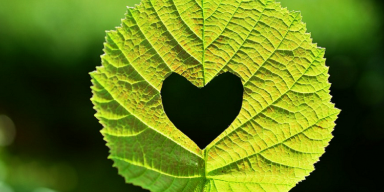 Empat Unsur Adaptasi dalam Hubungan Suami Istri