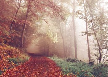 Kalau Kamu Masih Berpikir Musibah itu Hukuman, Kamu Harus Baca Ini