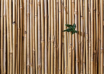 Percantik Rumah dengan Kerajinan Bambu