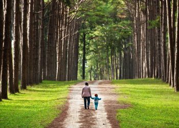 10 Cara Membantu Anak Terhubung dengan Alam