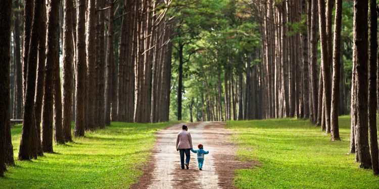 10 Cara Membantu Anak Terhubung dengan Alam