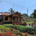 Colecer Garden Cafe Cofe Referensi Wisata Kuliner di Bogor