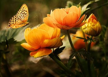 Khadijah, Sosok Berpengaruh pada Permulaan Dakwah Rasulullah