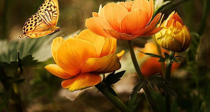Khadijah, Sosok Berpengaruh pada Permulaan Dakwah Rasulullah