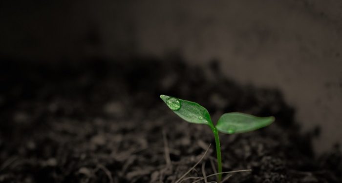 Tafsir Surat Al Mulk Ayat 1 Memaknai Kehidupan