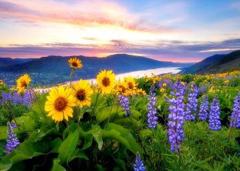 Bercermin dengan Pemandangan Gunung dan Bunga