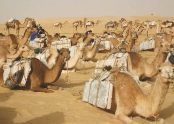 Mereka Bertanya tentang Rampasan Perang