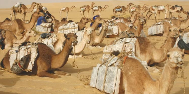 Mereka Bertanya tentang Rampasan Perang